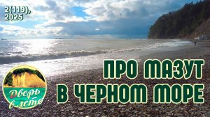 Про мазут в Черном море