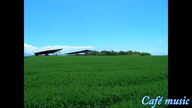 Café music 休日 ~surf~★作業用BGM★ смотреть онлайн