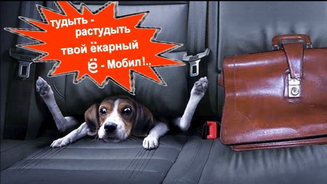 Михаил Прохоров в Новогоднем Триллере 2014 года "Операция "Е" и другие приключения М.Прохорова" смотреть онлайн