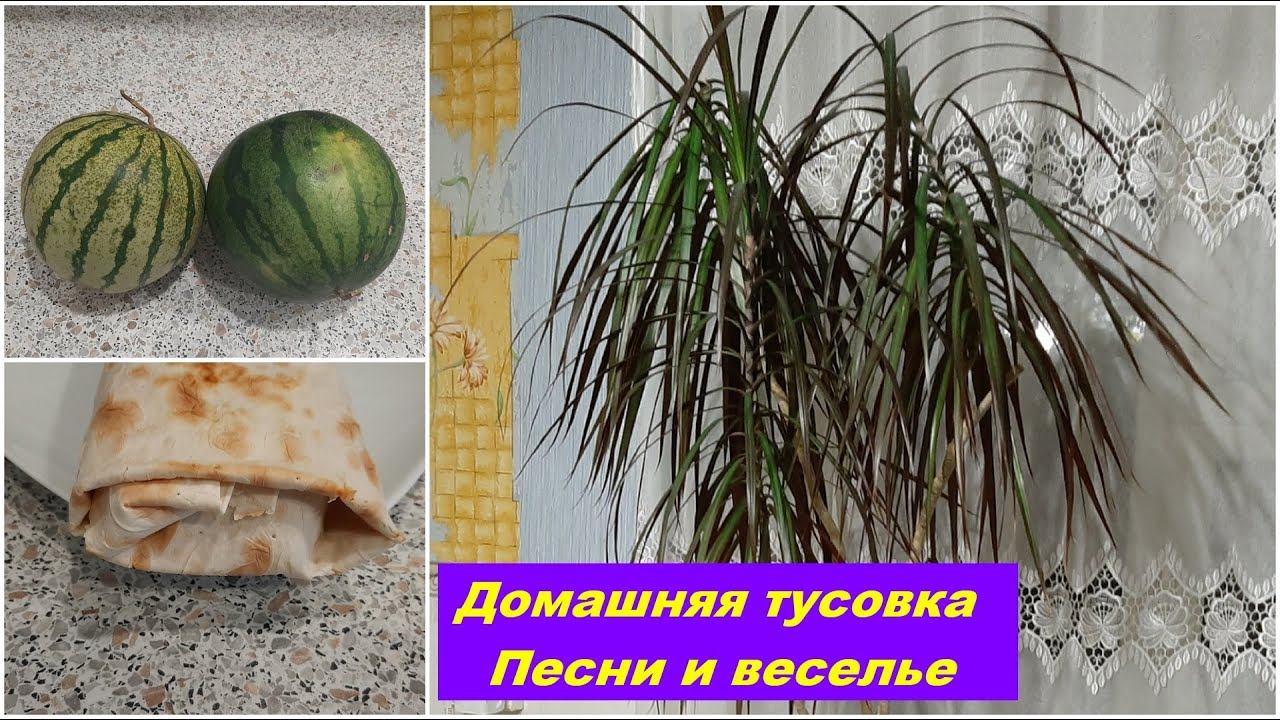 ВНИМАНИЕ!!! ТЕРРИТОРИЯ СМЕХА / ЗАКУЛИСНЫЕ ТАЙНЫ