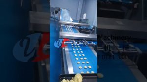 Chinese supplier Shanghai Yucheng machinery Full automatic Soft Filling Cookies Production Line