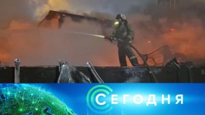 «Сегодня»: 19 января 2025 года. 08:00 | Выпуск новостей | Новости НТВ