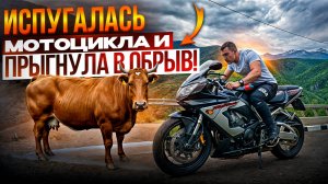 Эндурю по горам Дагестана на Honda CBR929! По Дагестану на мотоцикле часть 3