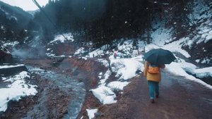 Прогулка под дождем Япония, Парк снежных обезьян (Дзигокудани Яэн Коэн) Звуки дождя для сна