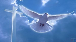 Курс лекций "Видение 12" урок №7