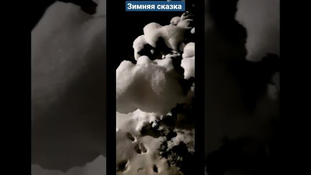 Зимняя сказка