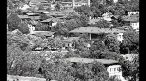 Bayati shiraz   Tacir