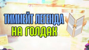 ТИММЕЙТ ЛЕГЕНДА НА ГОЛДАХ🤯💕 | Демка в StandLeo🔥