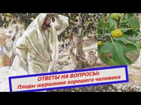 Вопрос-ответ.Опять о смокве! Иисус засушил ее,что с ней не так?Плоды  шуршания хорошего человека(16)