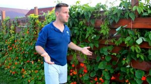 (ВЛОГ) про плетеный забор из досок (ответы на вопросы)