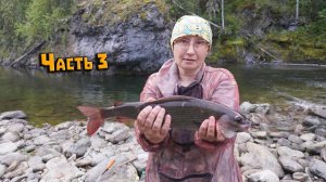 Поход в Коми за крупным хариусом через перевал Дятлова. Рыбалка. Северный Урал. Часть 3