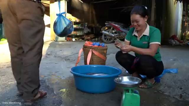 Harvesting Pond Fish at the farm to sell - Cooking food for Pigs | Pet care | Trieu Mai Huong