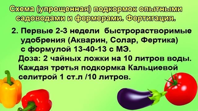 Подкормка томатов с весны до осени