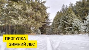 ВДВОЁМ В ЛЕСУ НЕ СЧИТАЯ СОБАКИ / Деревенька на Урале / Выпуск 48