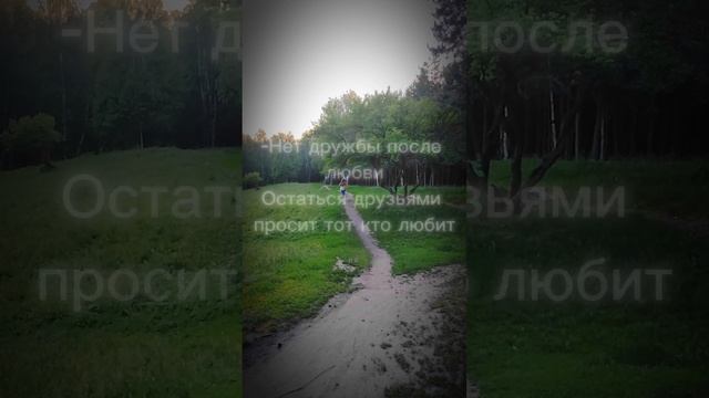 Трудись тихо.Пусть успех будет шумом...Цитаты.Надеюсь залетит #рек #рекомендации #цитаты #смысл