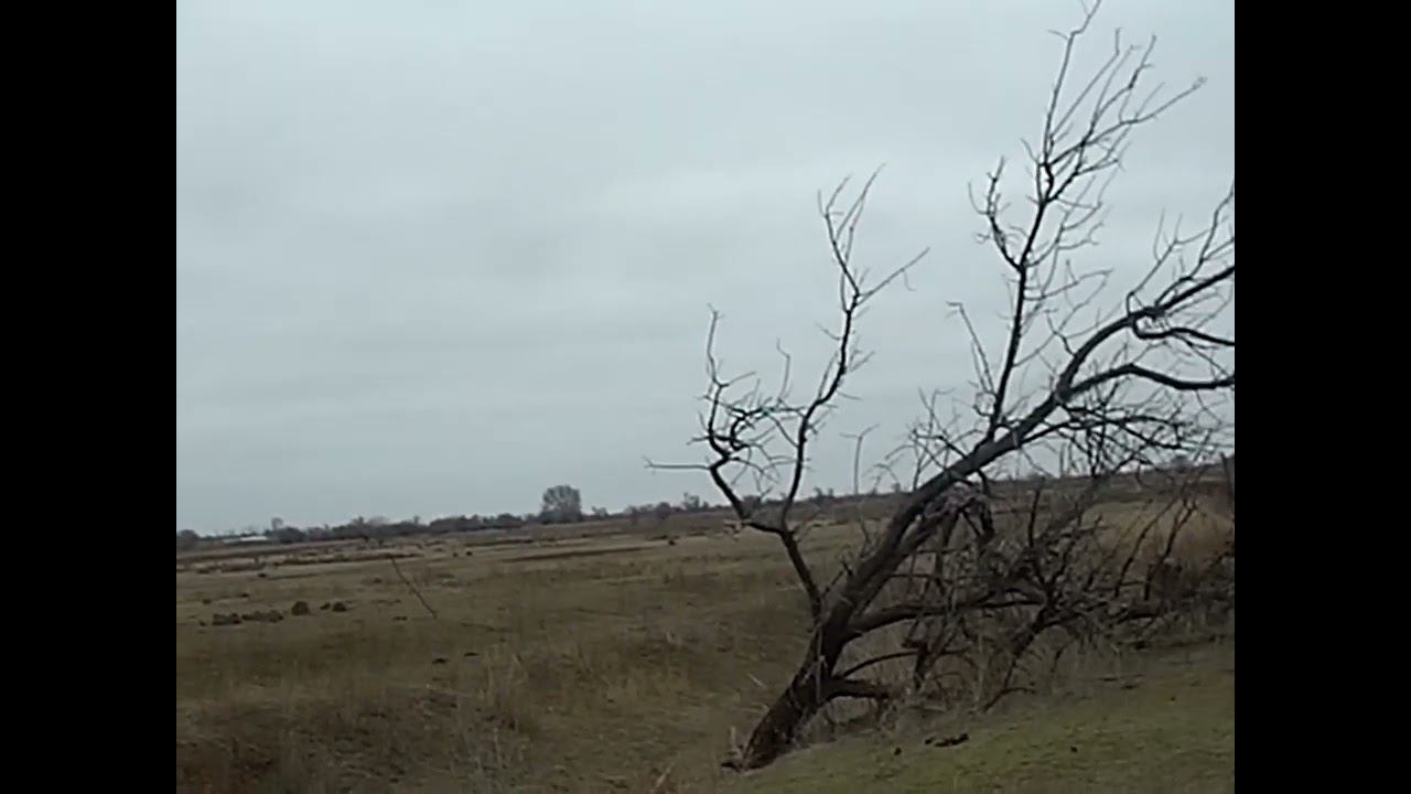 08.01.2025 ЧТО ДЕЛАТЬ? : ЛПХ В ОПАСНОСТИ смотреть онлайн