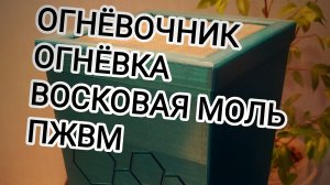 ПРОИЗВОДСТВО ОГНЁВКИ ВОСКОВАЯ МОЛЬ ПЖВМ - ИННОВАЦИЯ В МИРЕ ПЧЕЛОВОДСТВА!