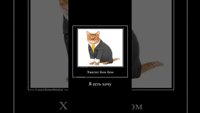 Бом Бом