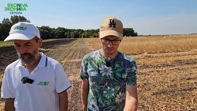 Особенности сортов сои селекции "ЭкоНива-Семена"