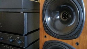 Tannoy d500