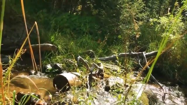 Медитация -- место силы.  Победить тревогу и страх