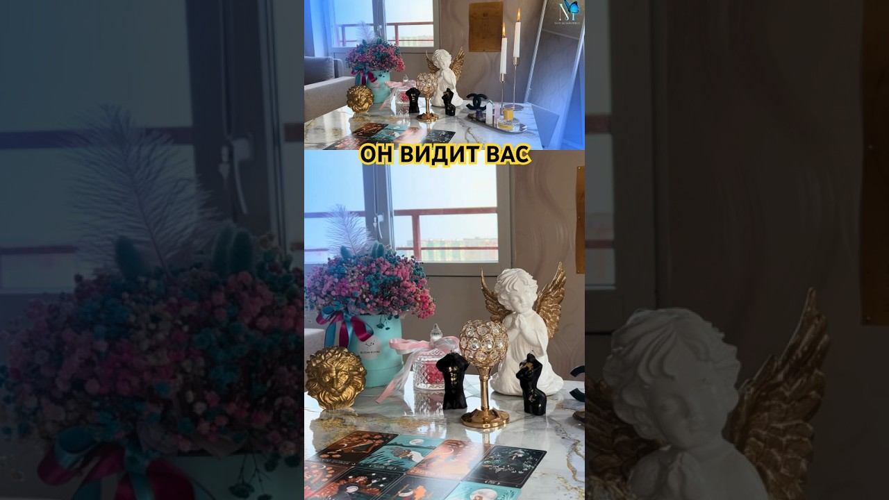 #тарометаморфоз#таромари#tarotreader#tarotcards #tarotonline #tarotreading #tarotamor#tarotscope