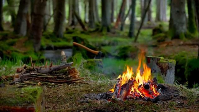 Лесной костер у небольшого ручья 🌲Расслабляющие звуки и сон