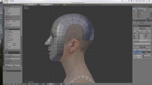 Female Head Modeling