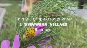 Sylvanian families 
Пикник с приключениями 
Сильвания фемилис