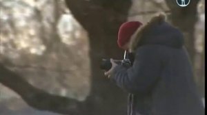 Мещера из окна поезда