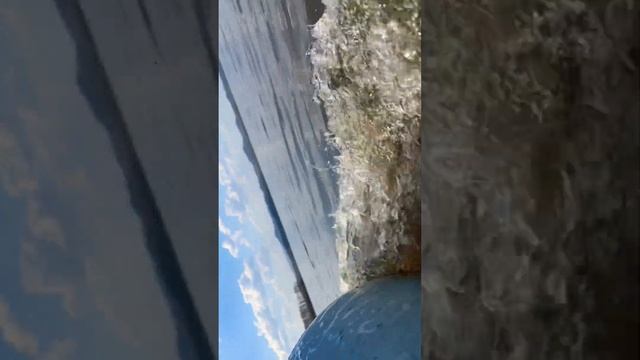 Цвет воды russia youtubeshorts asmr beautiful fishing 2024 россия аргази челябинск