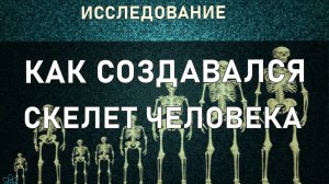 19 КАК СОЗДАВАЛСЯ СКЕЛЕТ ЧЕЛОВЕКА #ИССЛЕДОВАНИЕ С ЕЛЕНОЙ #РЕГРЕССИВНЫЙ #ГИПНОЗ