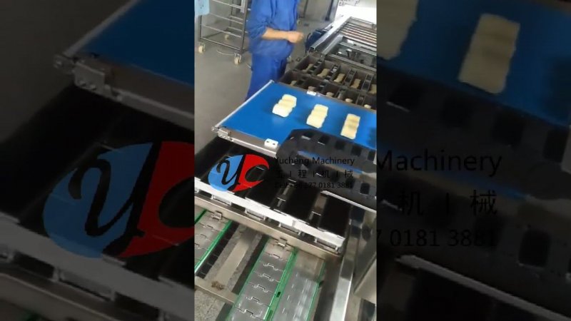 Automatic loaf toast bread machine forming processing production line