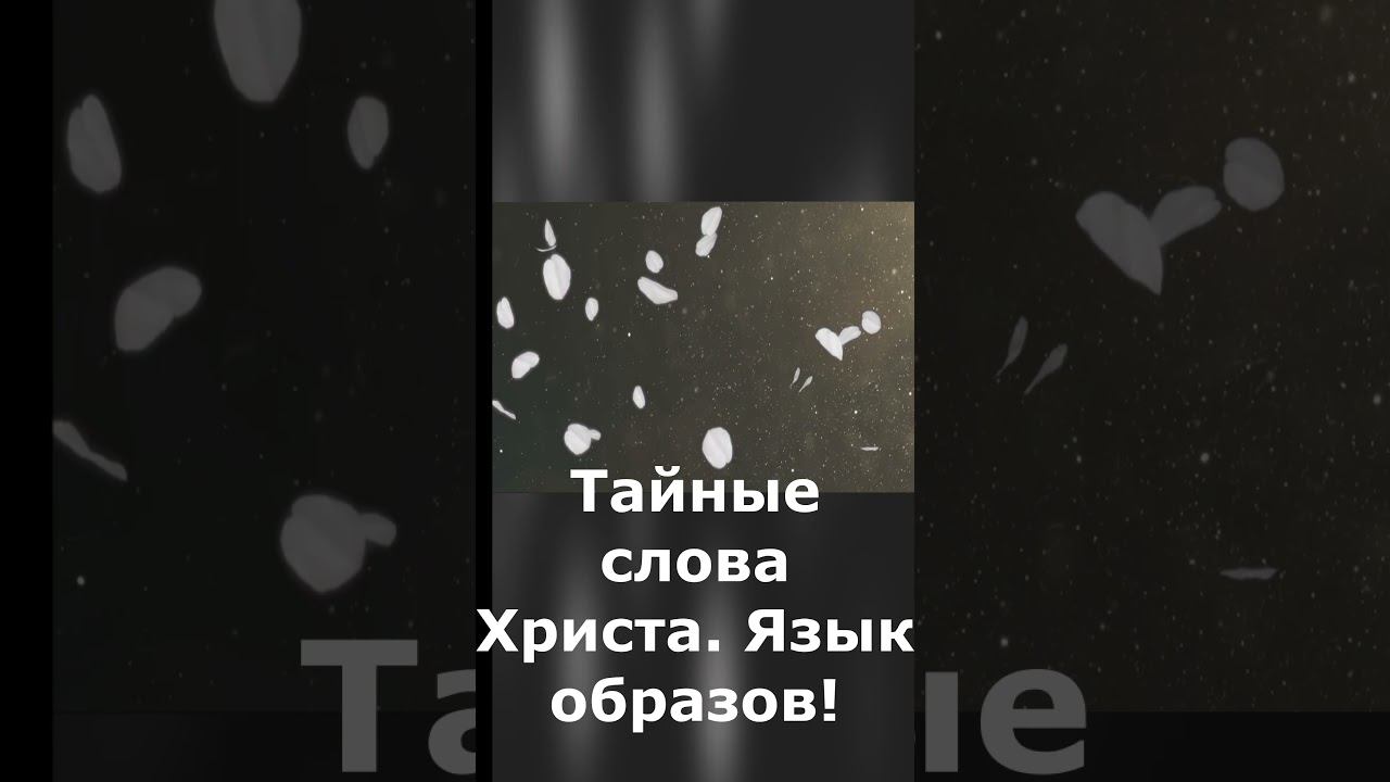ТАЙНА СЛОВ ХРИСТА? Вы найдете и ужаснетесь! Язык образов. #shorts