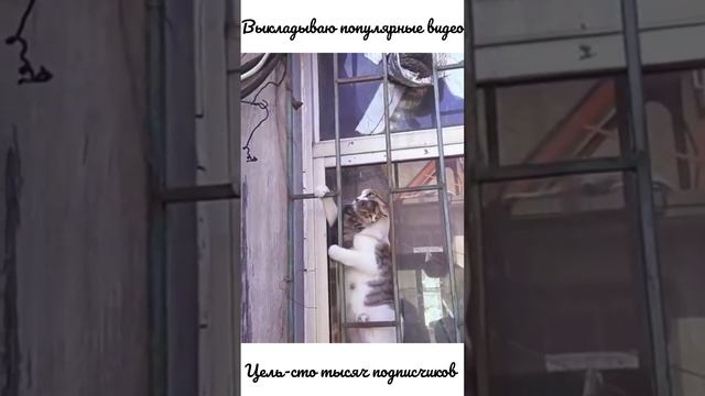 #Юмор
#Приколы