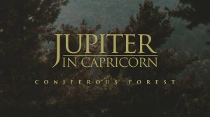 Jupiter in Capricorn - Coniferous Forest (ambient music, drone, soundscapes, field recordings)