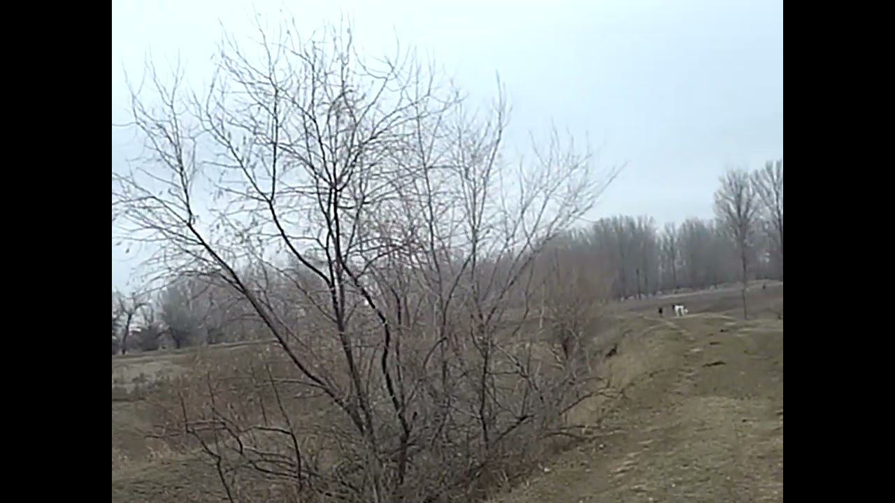 09.01.2025 ЧТО ДЕЛАТЬ? : ЛПХ В ОПАСНОСТИ смотреть онлайн