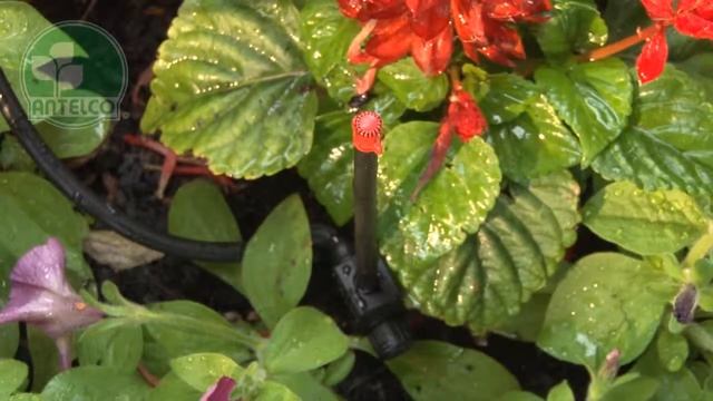 Vari Flow Spike Jet Guide - Micro Spray Jets смотреть онлайн