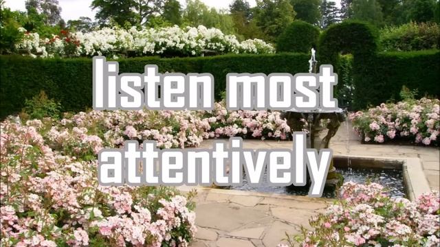 English Tea- Paul McCartney Lyrics смотреть онлайн