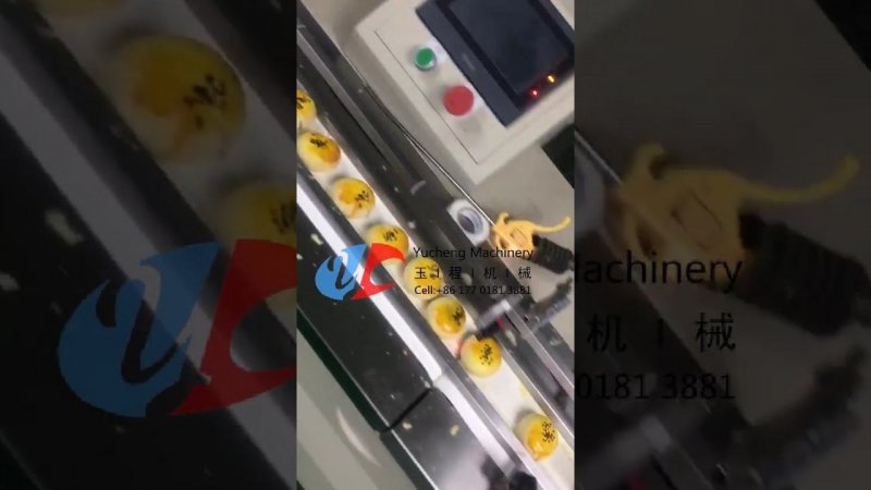 自动蛋黄酥生产线 Automatic Puff Pastry Egg wash brushing Sesame dusting spraying machine production line