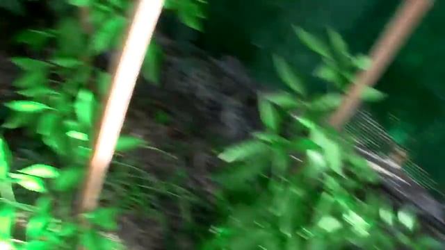 Production au Jardin (2015) смотреть онлайн