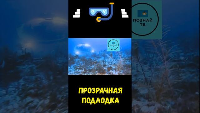 Прозрачная Подлодка   #интересно #познайтв #news
