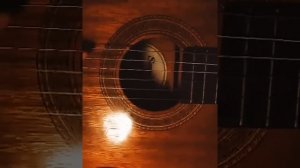 I'll make a cup of coffee for your head|Fingerstyle Cover