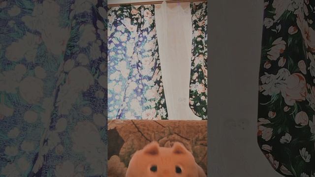 Клип Рыжикобуторгощирбетэверестокуб (Все виды Рыжокуба)