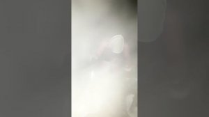 Марина в бане 2020 год , открытие. Прорубь. Тайга