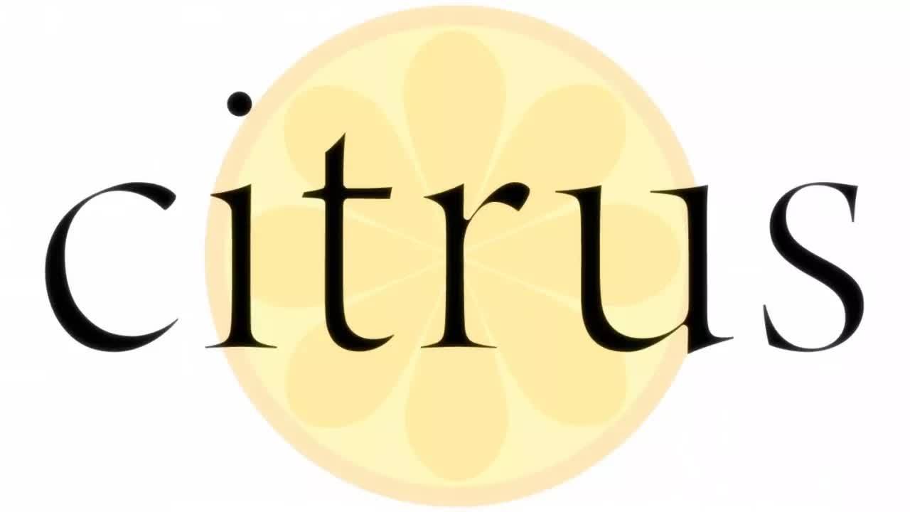 Сitrus - Opening ｜ Azalea смотреть онлайн