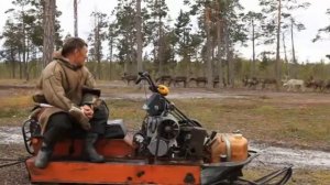 Тундра (Часть 3) | Документальный фильм о Российском севере.