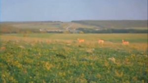 МАДОУ "Детский сад № 80". Кордон "Абрамовский"  Атяшевский район, республика Мордовия.