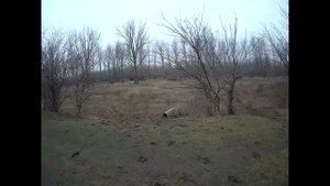 04.01.2025 ЧТО ДЕЛАТЬ? : ЛПХ В ОПАСНОСТИ