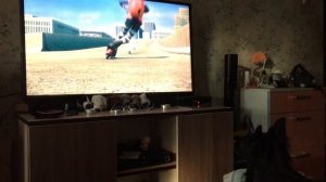 Собака смотрит мульт Вольт